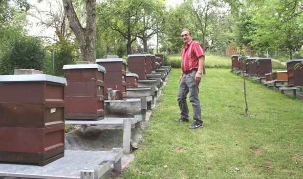 Nebojša Dronjak pčelari u Njemačkoj: U nedostatku cvijetne paše, moje pčele su napravile “trešnjev med”