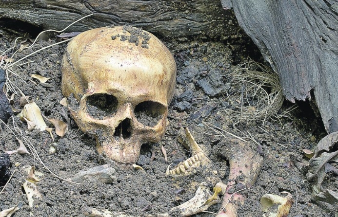 Skull found near Višegrad: Police secures discovery site