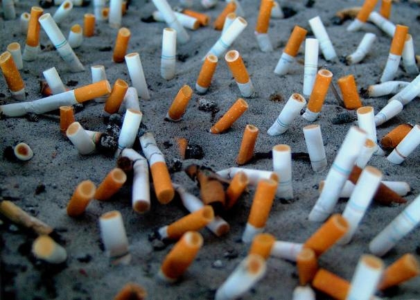 Alarmantno istraživanje: Nakon bacanja cigarete, opušak danima emitira otrove