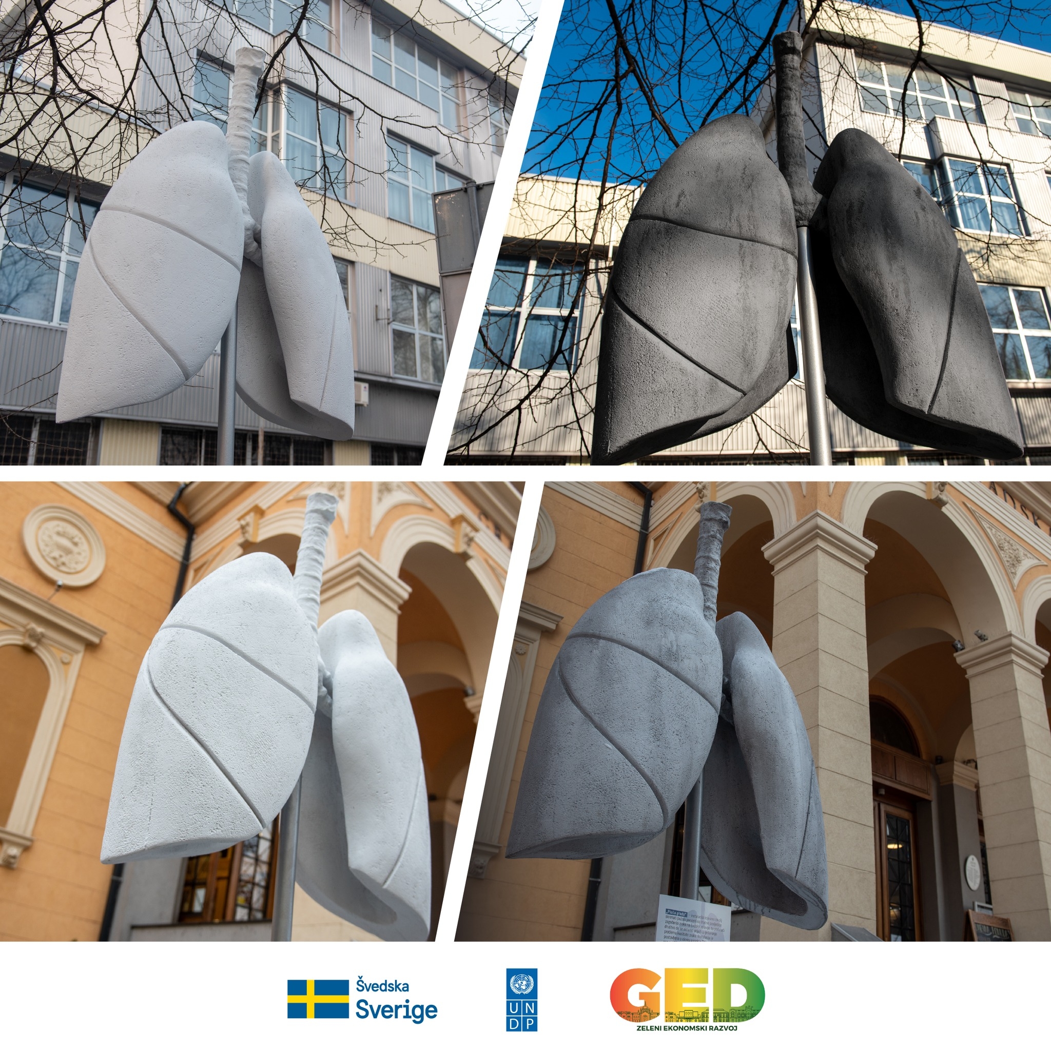 U Sarajevu postavljena Pluća grada: Pogledajte kako izgledaju nakon dva dana
