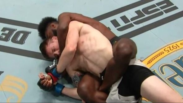 UFC stiže u Beograd: Spektakl planiran za maj