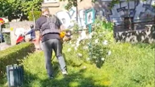 "Puk'o film" građanima općine Centar: Stanar uzeo kosilicu i sam pokosio travu ispred zgrade