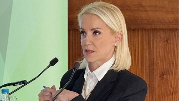 Izetbegović: Ni Morankić ne bi htio da svalite sve na vozača, sramni jadovi, Uk nije podnio ostavku zbog savjesti nego zbog straha