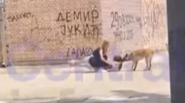 Uznemirujući snimak / Pas napao djevojku u školskom dvorištu, vukao je po podu