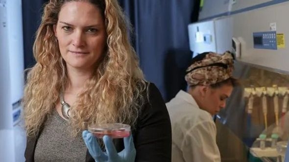 Naučnici napravili vještačke testise: Rastu u laboratoriju i imaju veoma važnu primjenu