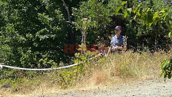 Prve fotografije i video s lica mjesta: U selu na Ozrenu ubijena povratnica Jela Pejić