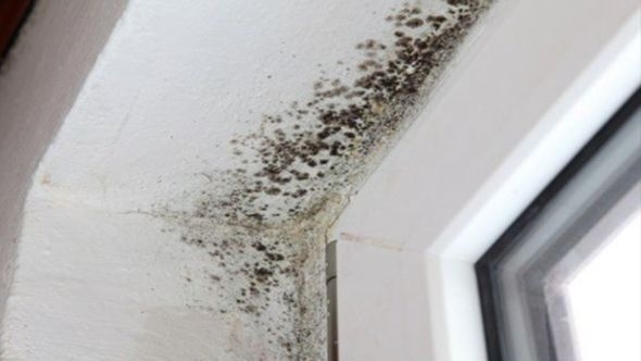 Podijelila je trik za uklanjanje vlage i oduševila mnoge: Potrebne su vam samo dvije stvari