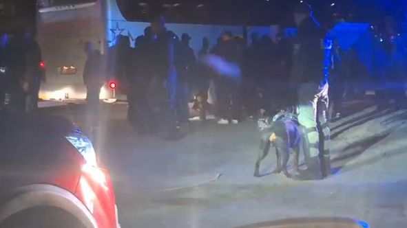 Rumunski huligani zaustavljeni pred Zenicom: Policija im oduzela obilježja Srbije