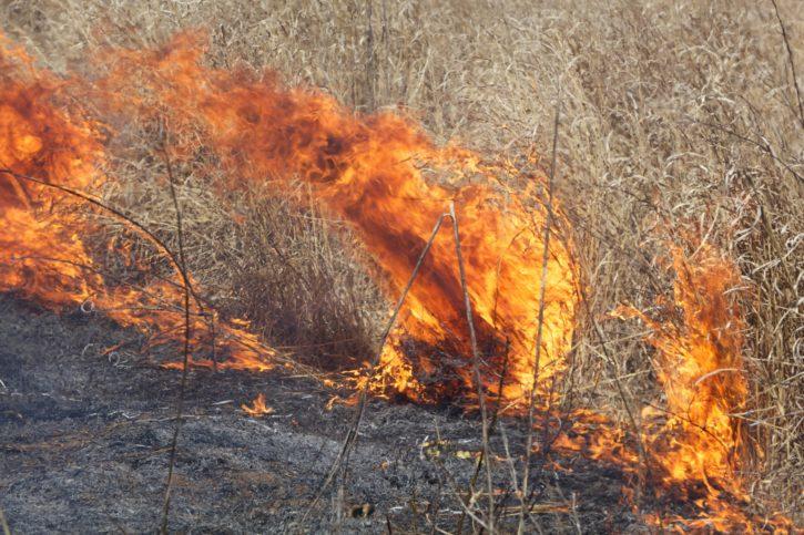 Novi šumski požari na području Kosovske Mitrovice