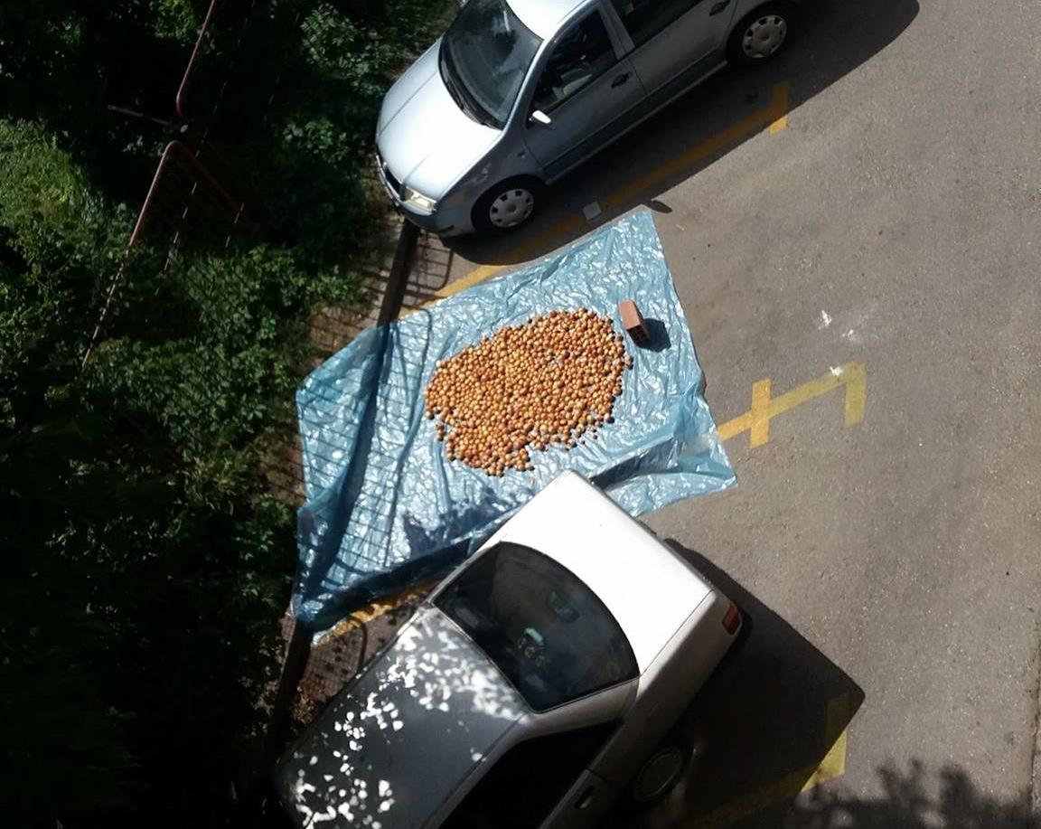 Nesvakidašnji prizor: Zeničanin na parking mjestu suši luk, mještani ogorčeni