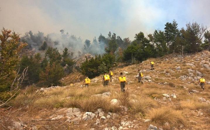 Situacija s požarima na Lovćenu složena, apel dobrovoljcima da pomognu u gašenju vatre