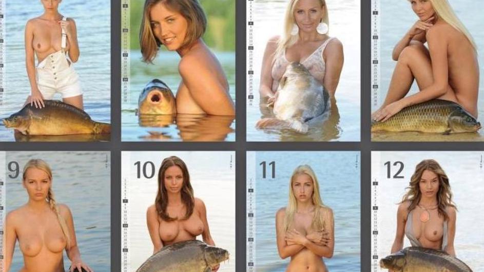 Koje ribe s ovog kalendara vam se više sviđaju? Teška odluka