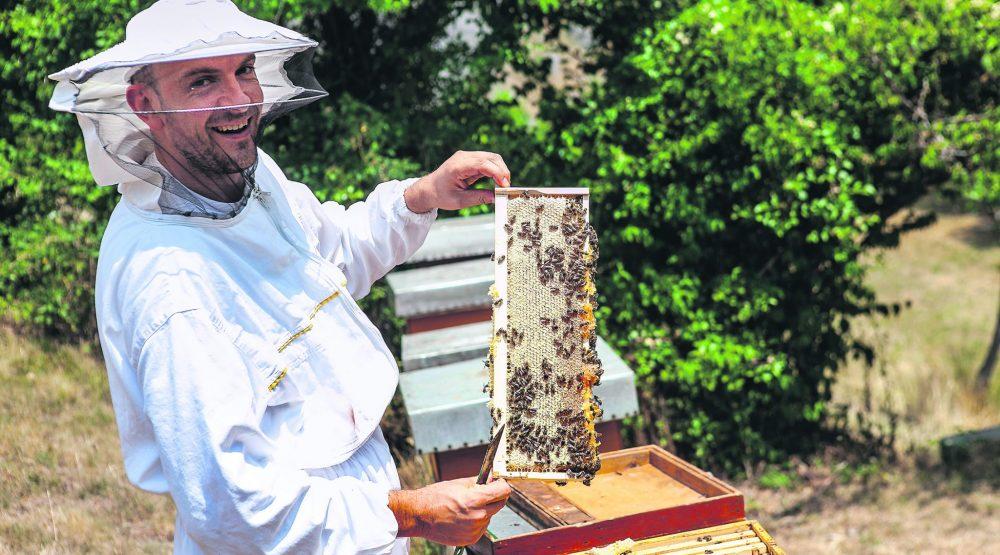Blago njima: Crnogorske pčelare pomaže Država
