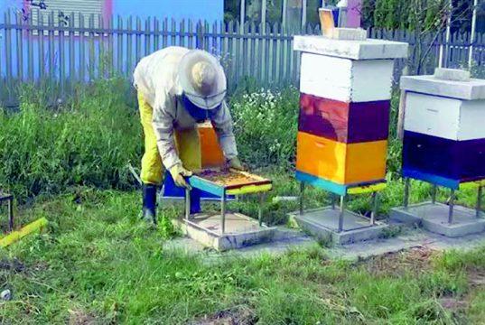 Jelenko Marković (54), zlatni inovator i pčelar iz Teslića: Jelenkove majstorije od drveta osvajaju medalje i pčelarska srca