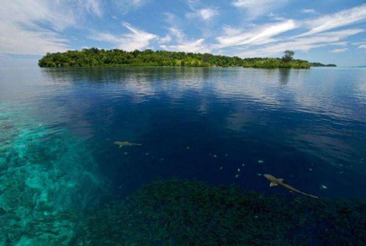 "Mrtva zona" u Pacifiku: Riješena misterija stara 1.500 godina