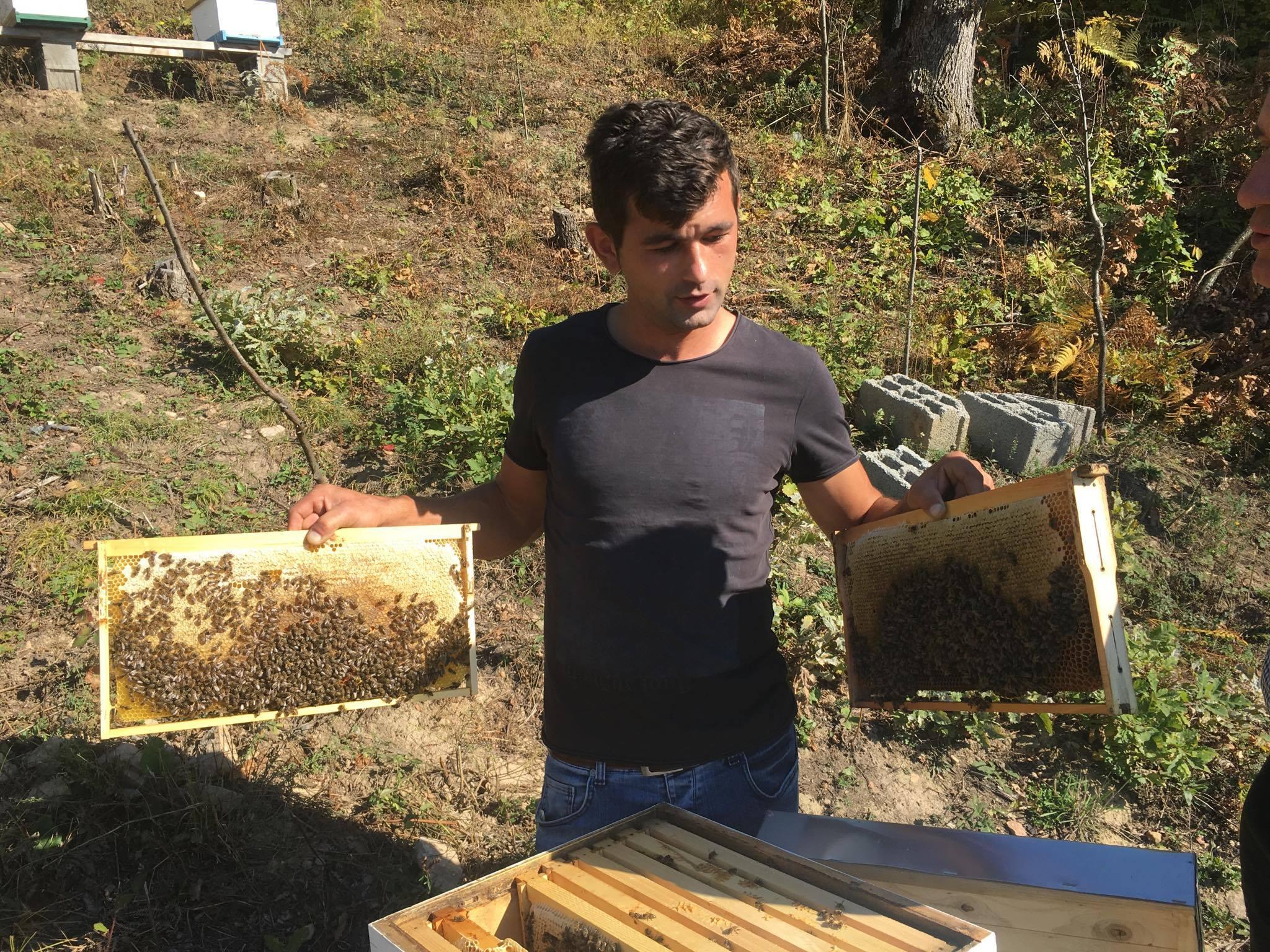 Kako je Adis Mehić za deset godina postao najveći pčelar u Bratuncu?