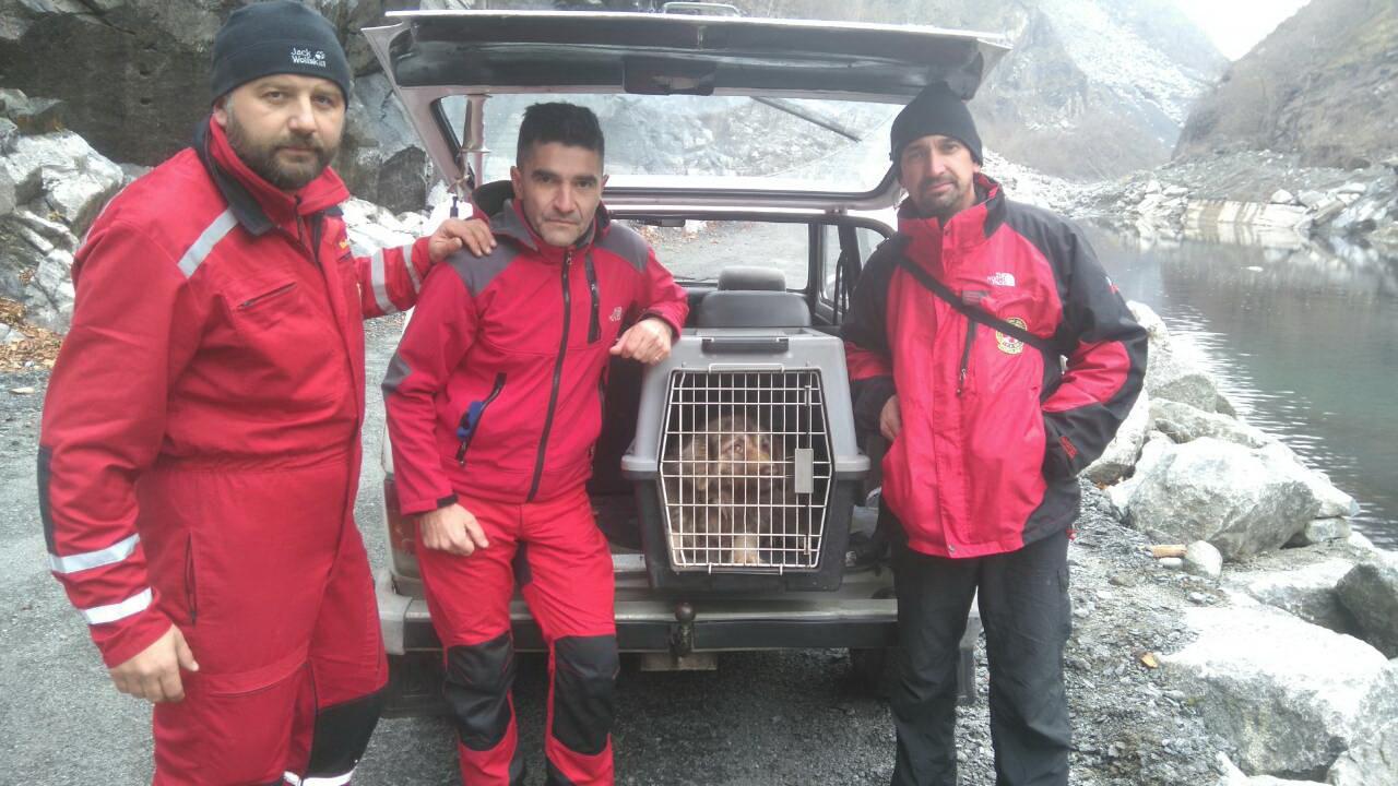 Novi detalji akcije spašavanja psa s brane Jablaničkog jezera: Evo gdje će završiti šarplaninac