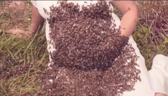Trudnica se slikala sa 20.000 pčela na stomaku: Ljubav prema njima se nije završila sretno