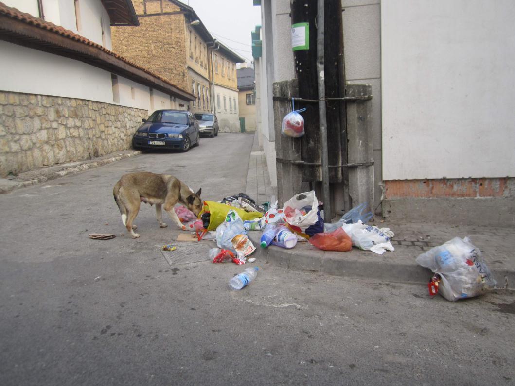 U ulicama Pehlivanuša i Hadži-Sulejmanova nema kontejnera: Smeće odlažu na ulicu!