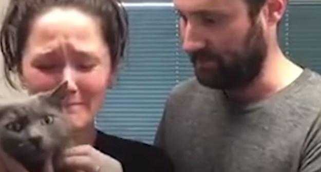 Žena nije mogla prestati plakati nakon što su joj vratili mačku izgubljenu u poplavi