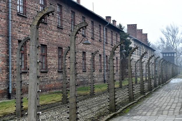 Poljska će kažnjavati javno pominjanje Poljaka za učestvovanje u holokaustu