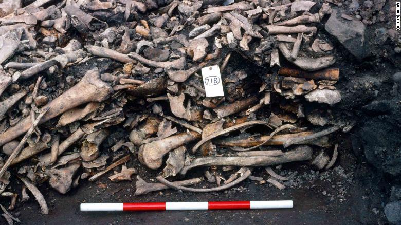 Engleska: Pronađeni ostaci izgubljene vikinške vojske
