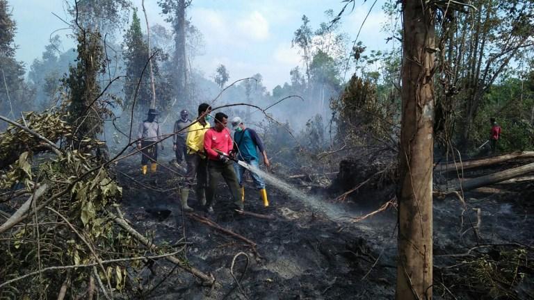 Indonezija: Vanredno stanje zbog šumskih požara