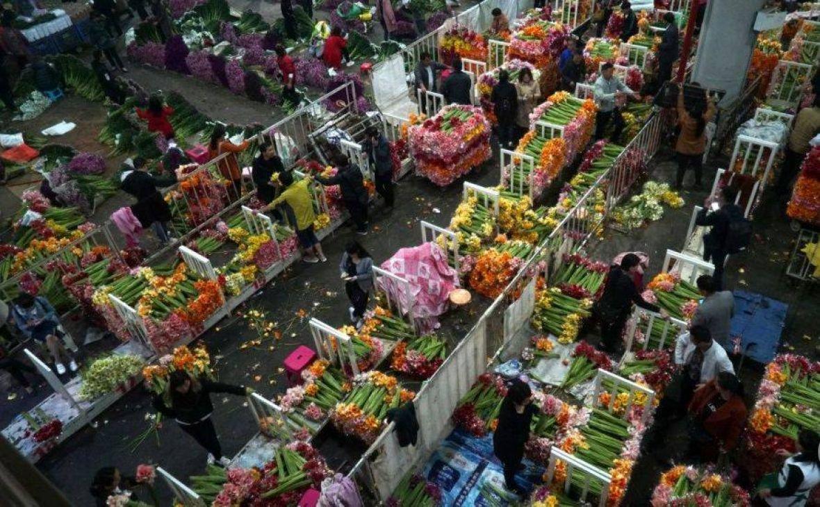 Kao u košnici: Ovako se trguje na najvećoj tržnici cvijeća u Aziji
