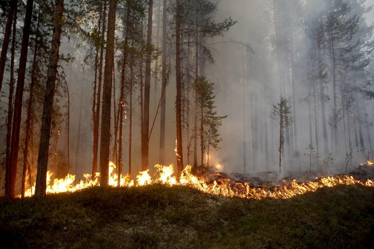 Švedska traži pomoć u borbi s vatrenom stihijom