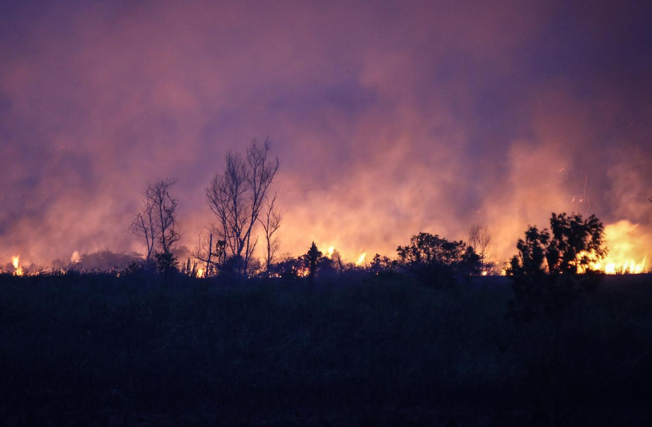 Požari haraju Kalifornijom: Evakuirano 50.000 ljudi
