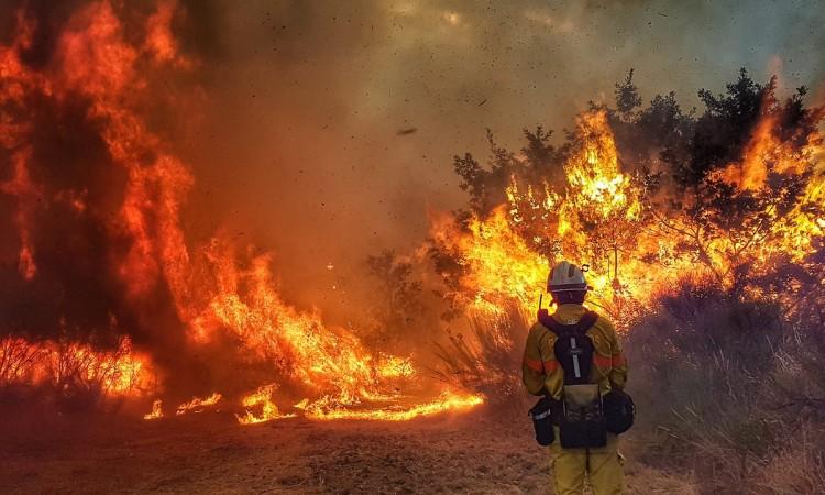 Vatrogasci se i dalje bore protiv vatrene stihije u Kaliforniji