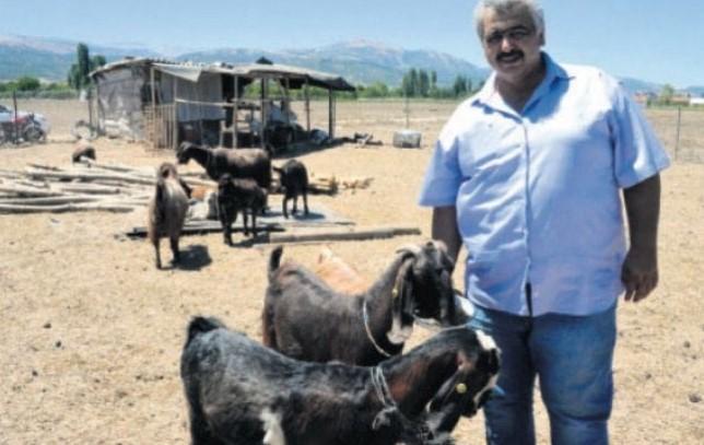 Fudbalski klub iz Turske prodao 18 igrača da kupi 10 koza