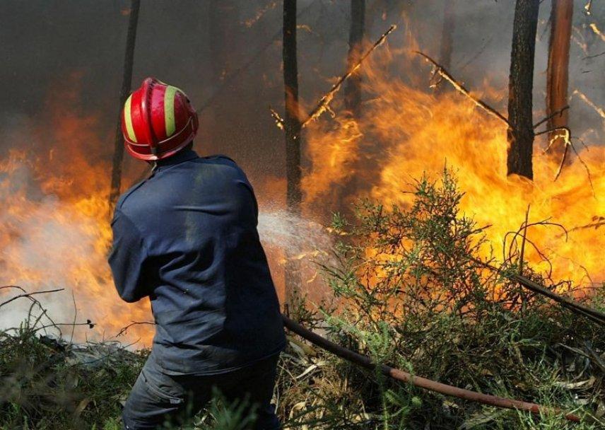 Oko 35 hektara niskog rastinja izgorjelo u požaru kod Trogira