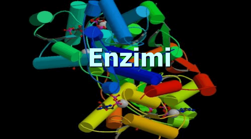 Enzimi su kompleksne molekule proteina čija je glavna uloga probava hrane - Avaz