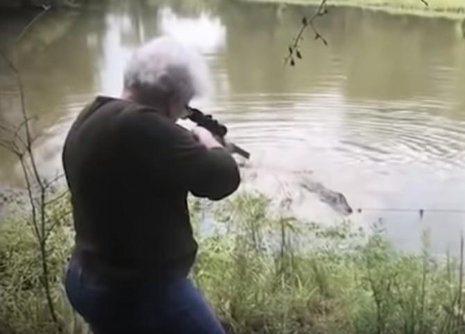 Starica ubila ogromnog aligatora jednim metkom