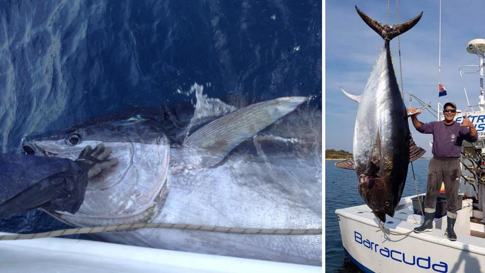 Ulovio tunu od nevjerovatnih 317 kilograma