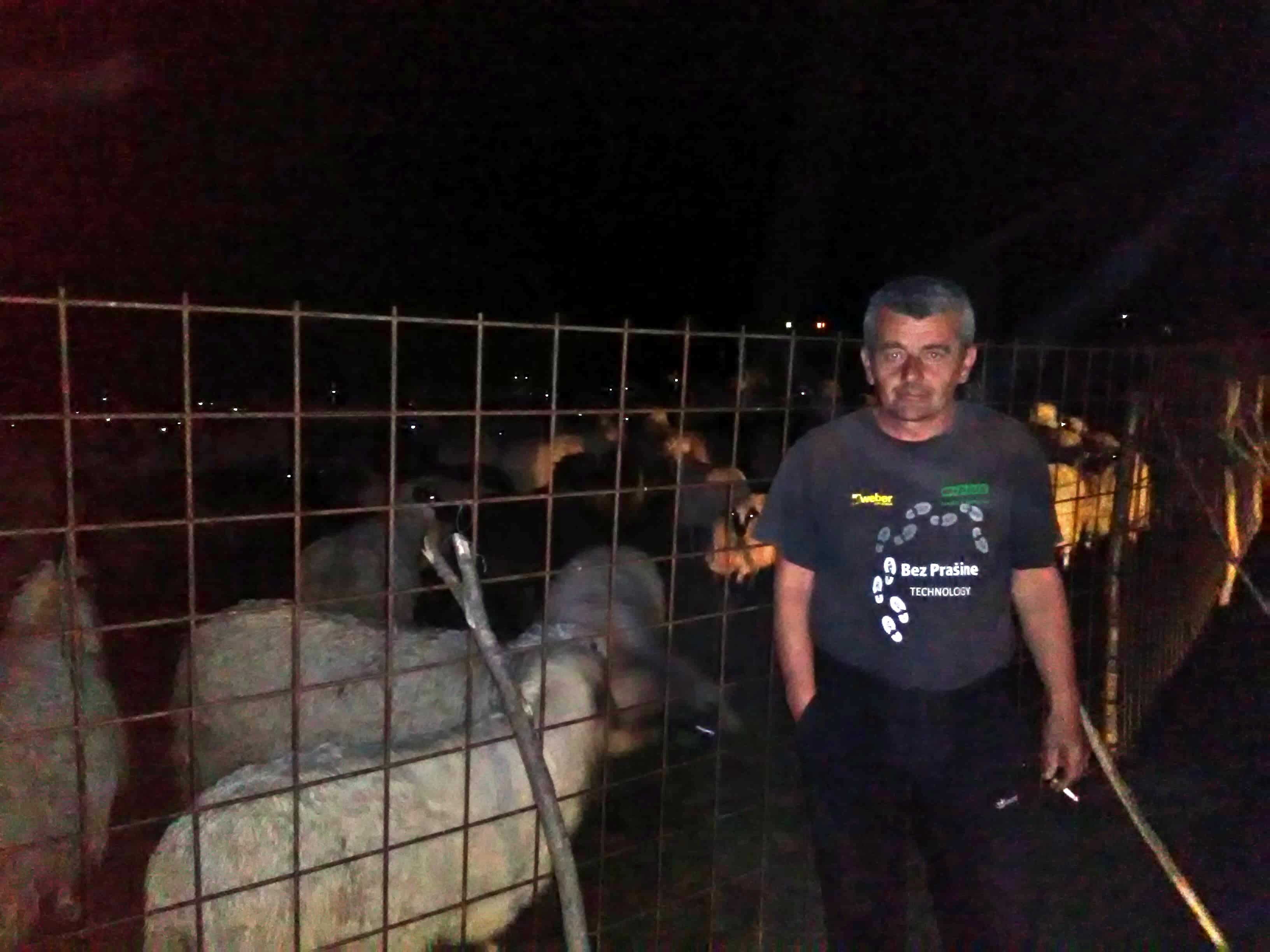 Ibrahim Struga pored svojih ovaca: Oči u oči s krvoločnom životinjom - Avaz
