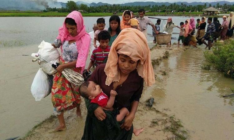 Više od stotinu Rohindža privedeno u Mijanmaru