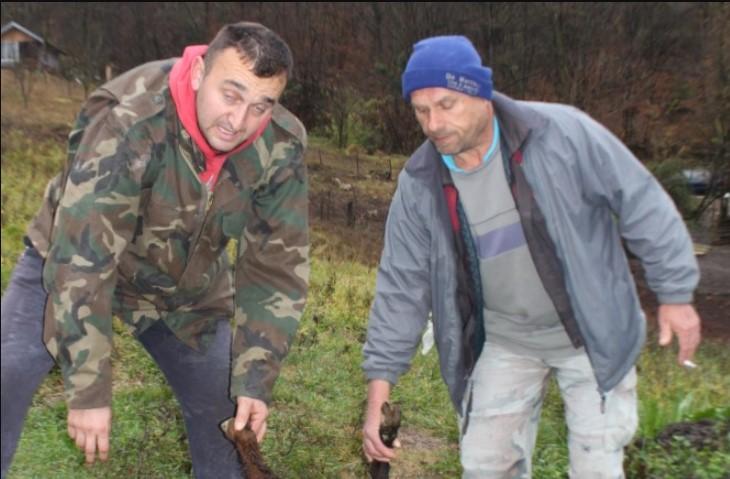 Kurtić (lijevo) s komšijom Harisom Škrebom: Izmasakrirali ovce koje su se trebali početi janjiti - Avaz