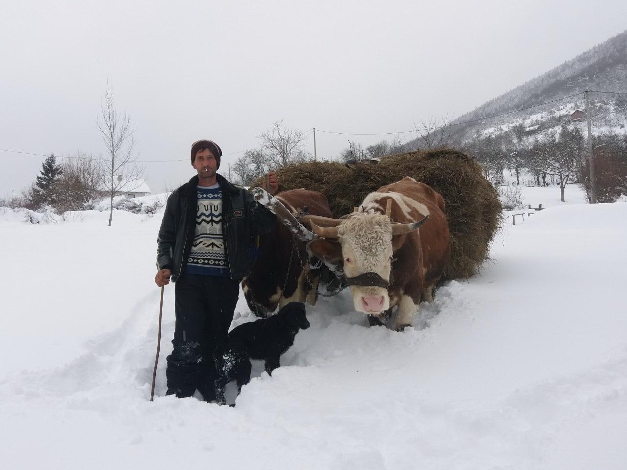 Kako živi Žepa ovih hladnih dana: Sankama i bikovima izlaze u svijet