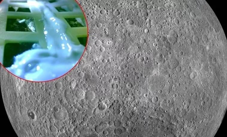 Mjesec: Nježne zelene biljčice uvenule - Avaz