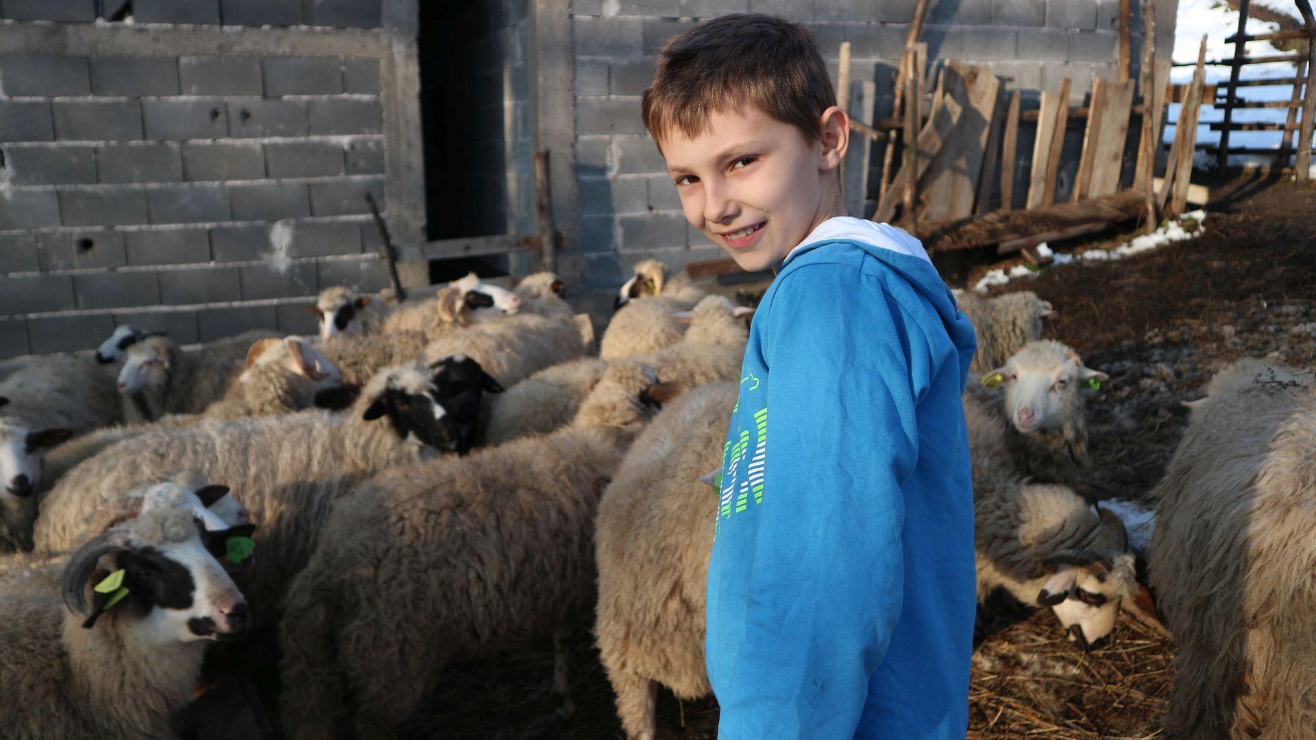 Najmlađi bh. farmer obogatio stado, priču o njemu napravila i zagrebačka Nova TV
