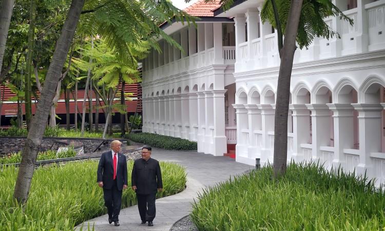 Tramp u Vijetnamu s Kimom, Pens u Kolumbiji s Gvajdom