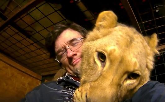 Zastrašujući prizor u Češkoj: Lav ubio vlasnika koji ga je držao u porodičnoj kući