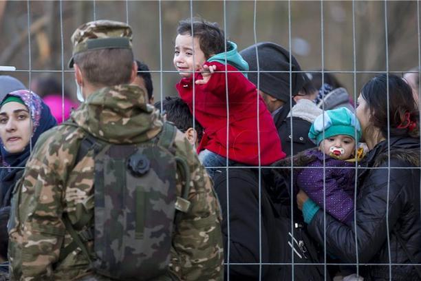 Samo vojska može zaustaviti nadiranje migranata u BiH!