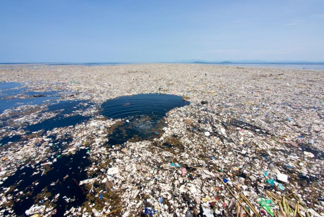 Do 2050. godine u okeanima bi moglo plivati više plastike nego riba