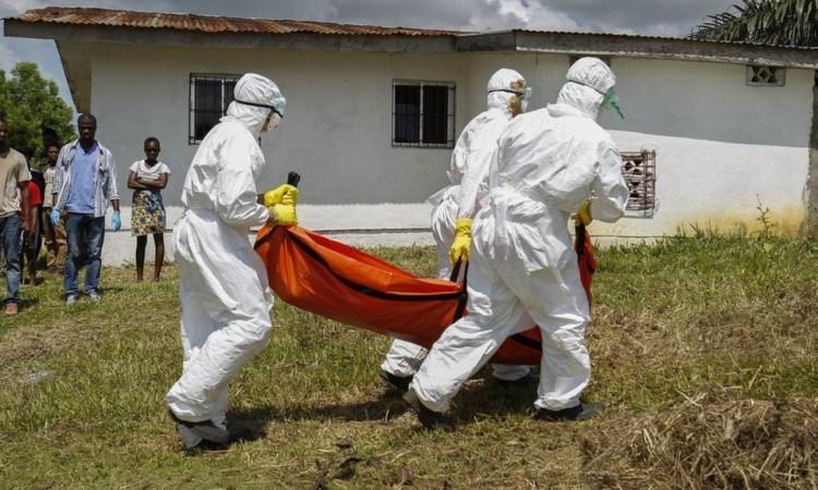 Virus ebole se intenzivno širi