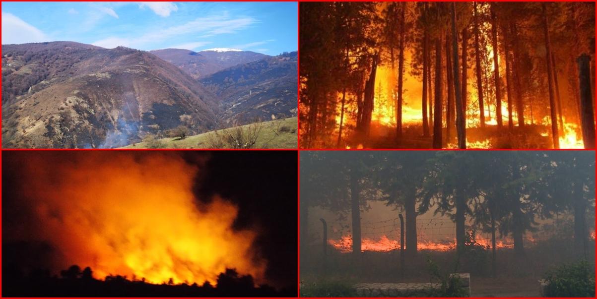 Požari gutaju Sjevernu Makedoniju: Ljudi bježe iz svojih kuća, evakuacija u toku