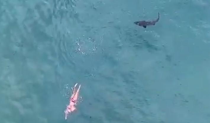 Ovo sigurno ne biste željeli doživjeti: Mnogi su zanijemili kada je morska psina krenula prema plivaču...