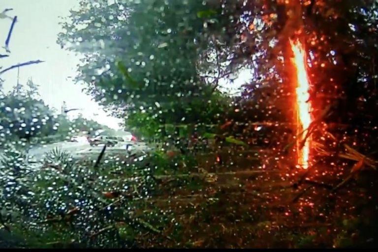 Grom oborio drvo tik ispred auta, oluja nosila sve pred sobom